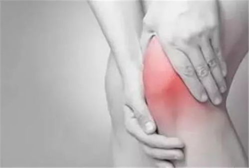 一、 汗毒：生肖鼠的“滴滴”与金牛座的“闷热”