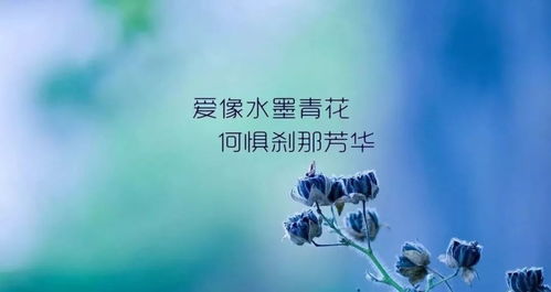 双鱼说过哪些经典语录，嫩表达出对爱情和梦想的深刻感悟？