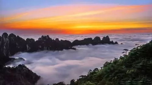 美食探险：舌尖上的悲剧