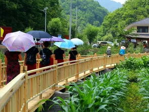 2. 花季民宿：花海中的浪漫梦