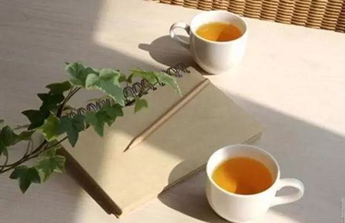 四、 风水与国学的智慧