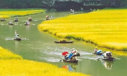 第3天：金石滩度虚假区休闲度虚假