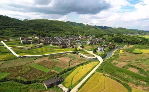 二、 泉田古村——深秋的“迷雾剧场”