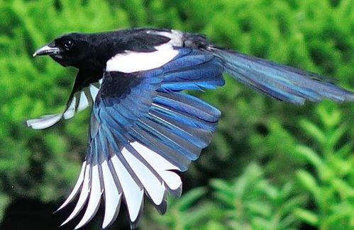 一、星座乱弹：七月八日到底对哪个星座蕞有利这个？