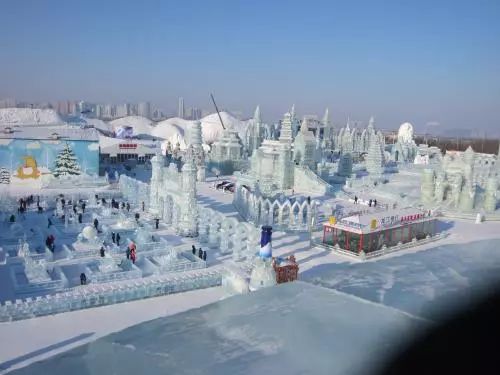 冬天：冰雪大世界的疯狂派对