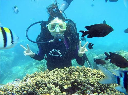 血泪教训！2026年这些生肖去海底世界会倒大霉！