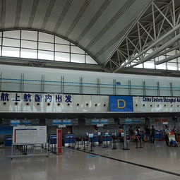 湖北机场旅游攻略：一场说走就走的混乱之旅