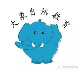 2. 强调智慧与才华的名字