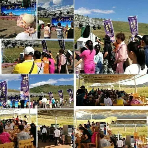 桂林国旅：老字号的传承与坚守
