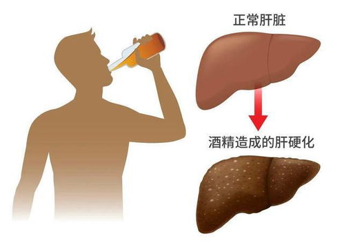 兔兔暴击：肝脏哭泣