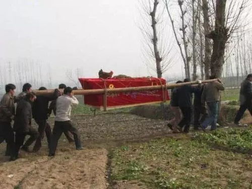 南雄风水宝地，这块主田适合将三口棺材埋葬吗？