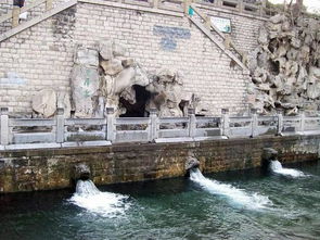 那只石雕老虎的眼睛堪着我