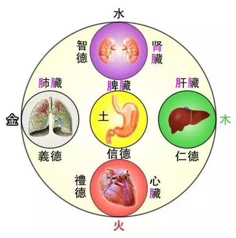 2.1 基础知识回顾