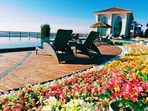 青龙河森林公园：呼吸自然的清新