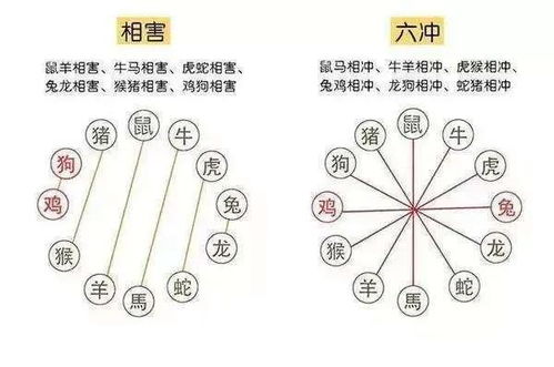 五行相生相克：了解你的五行属性