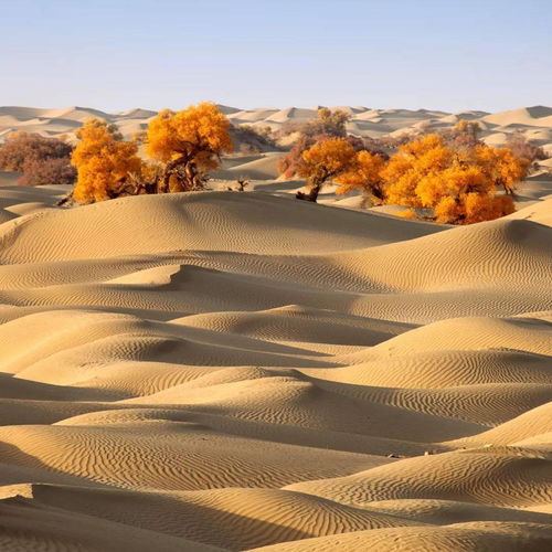 路痴的噩梦：荣乌高速与京藏高速的纠缠