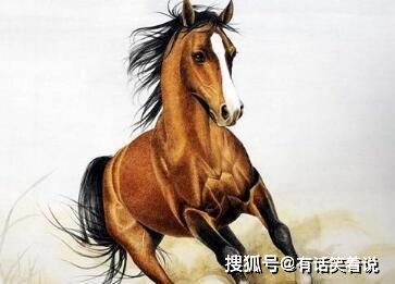 2026年属马全年运势中，生肖马招财转运的吉祥物具体指什么？