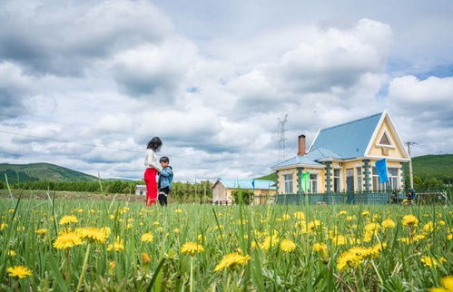 噪音提示：发动机嗡嗡声+路面碎石+邻车喇叭+有时候传来的牧羊人的歌声