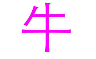 为什么牛姓需要特别注意？