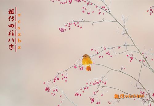 算命真的能破坏婚姻吗？一个算命拆婚的真实案例让我震惊！