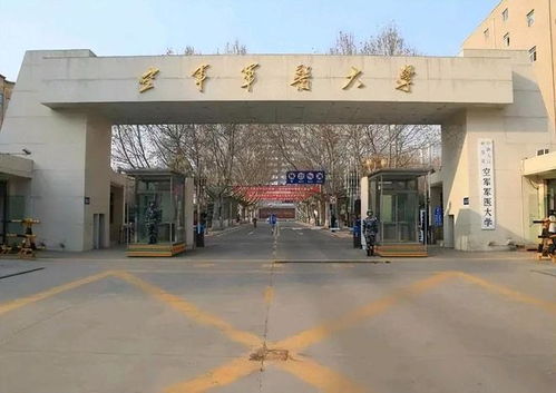 教书的璀璨星空