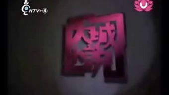三、 兔子与月光之谜