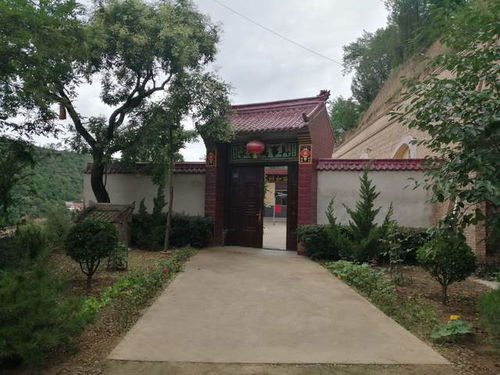 农村房前屋后绿化,农村房前屋后绿化