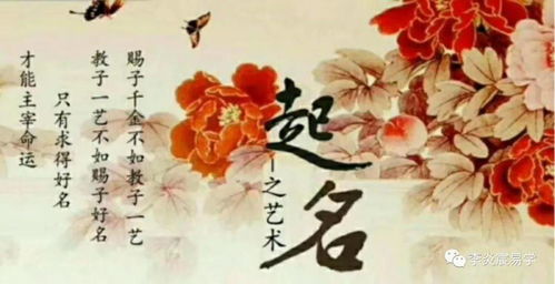 起名玄学大揭秘！信了你就输了