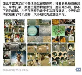 血泪教训！真实案例让你看清真相
