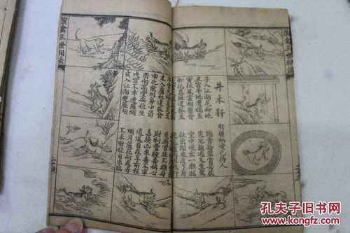如何入门学习三世演禽命理，掌握三世禽演算命财运的奥秘？
