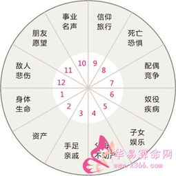 身宫位于哪个星座宫位，对婚姻状况有何影响？