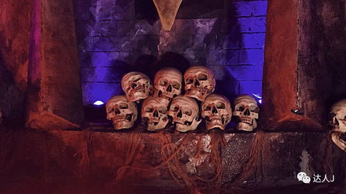 那东西夜晚， 我不该踏足那片荒野