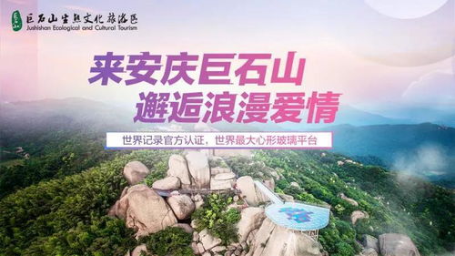 3.1 门票价格及优惠政策
