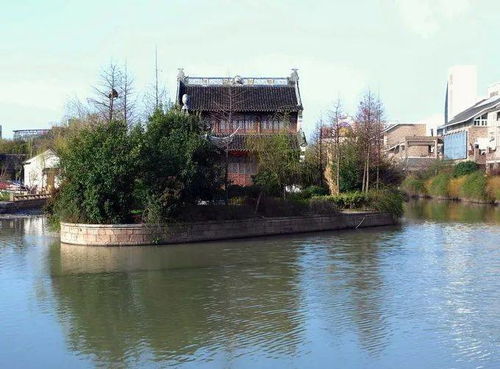 惯与青果巷的小秘密