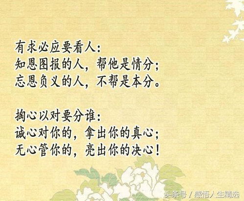倒霉蛋的自我修养