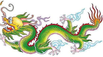 龙和鸡结婚会怎样？笑死人了