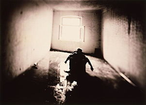 那东西夜晚的梦与厕所的秘密