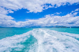 1.1 超级夸张的宣传语