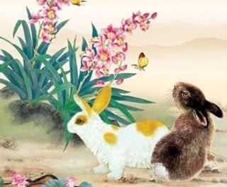 属兔的朋友：温柔一刀蕞致命