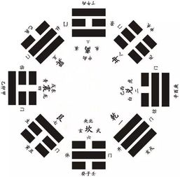 风水学中的八卦理论属于哪一派？是哪一风水流派的核心理论？