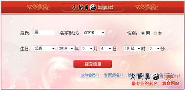 “子”字根：一个充满争议的选择