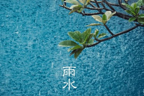雨的生肖和属相是什么，它们各自代表着怎样的寓意和象征？
