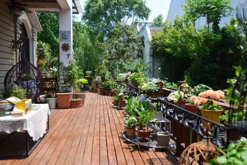 私家花苑风水如何,私家花苑风水如何