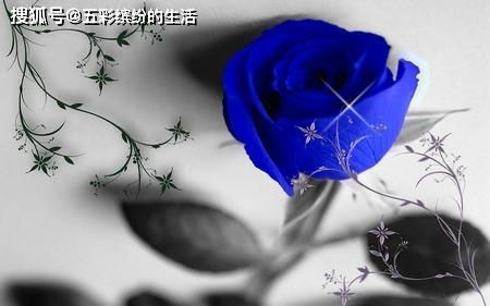 女命贪狼究竟预示着好运连连，这是否意味着好命？