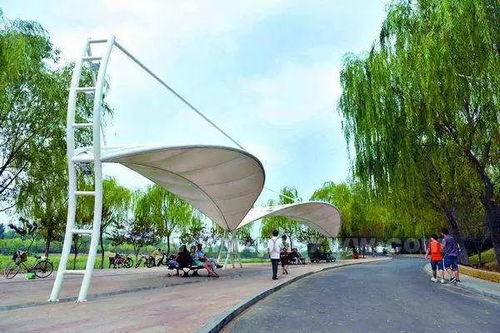 白鹭洲国家城市湿地公园:且看法桐最美时