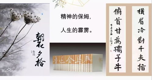 一、 亦——“也”“同样”的更多沉重解读