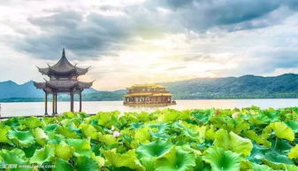 花港观鱼：鱼比人还悠闲