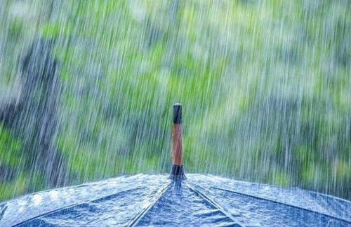 当爱情变成一场暴雨