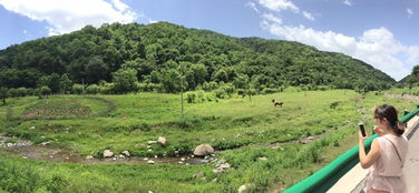 自驾攻略：丰宁， 你的一次说走就走的旅行