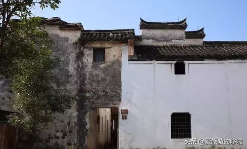 六、 噪音与乱入：让文章梗烂一点儿（真的）
